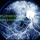 Fluoresecein Angiography